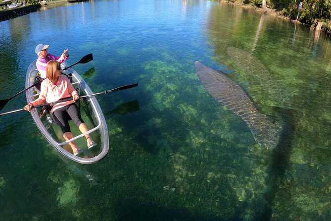 Clear Kayak Manatee Ecotour of Crystal River - Who will enjoy this most?