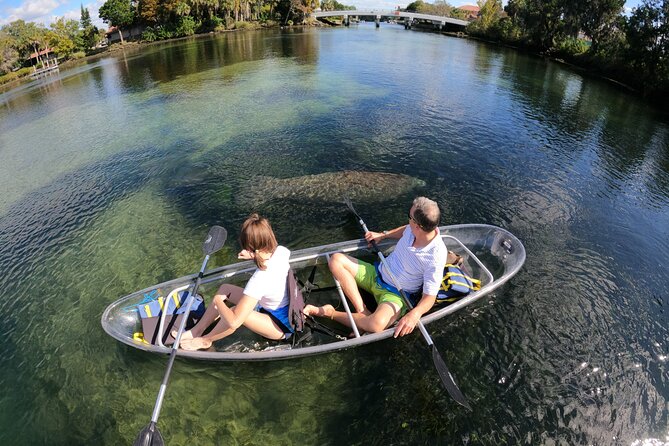 Clear Kayak Manatee Ecotour of Crystal River - A two-hour search for manatees