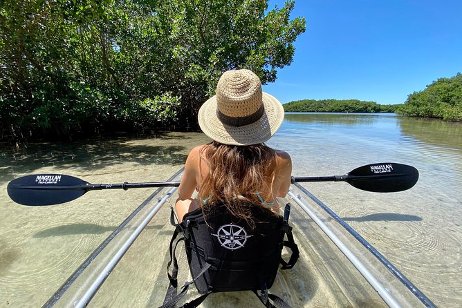 Clear Kayak Tour of Shell Key Preserve and Tampa Bay Area - Key points at a glance