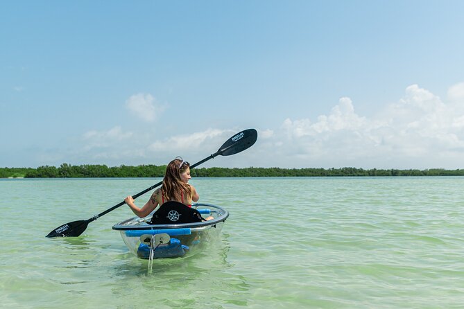 Clear Kayak Tour of Shell Key Preserve and Tampa Bay Area - Why the clear kayak matters in Tampa Bay