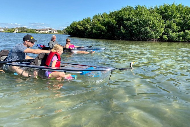 Clear Kayak Tour of Shell Key Preserve and Tampa Bay Area - Is the $79 price fair?