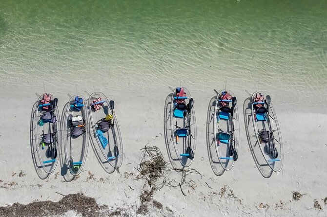 Clear Kayak Tour of Shell Key Preserve and Tampa Bay Area - Who will enjoy this most?