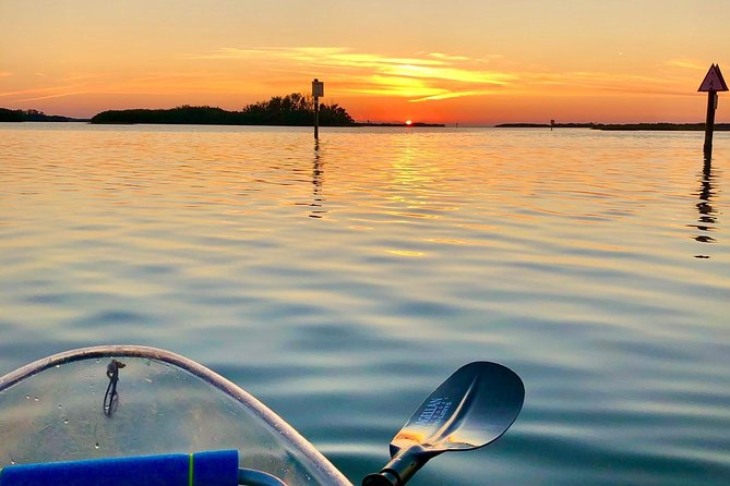 Clear Kayak Tour of Shell Key Preserve and Tampa Bay Area - What to pack for a comfortable paddle
