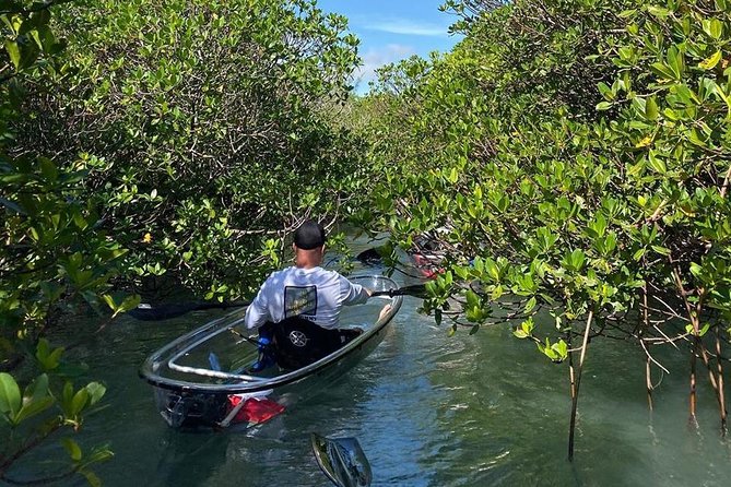 Clear Kayak Tours in Fort Pierce - Photo stops and time in the water