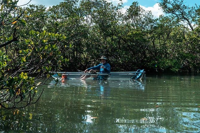 Clear Kayak Tours in Fort Pierce - How much value do you get for $90?