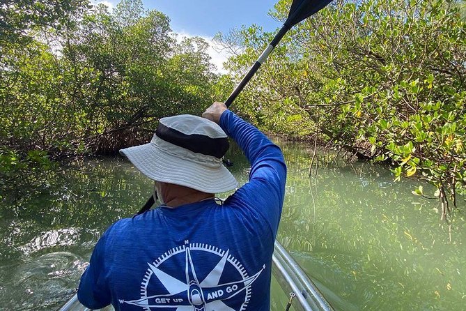 Clear Kayak Tours in Fort Pierce - Paddling toward the mangrove tunnels
