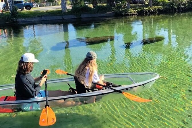 Clear Kayak Tours in Weeki Wachee - Key points before you book