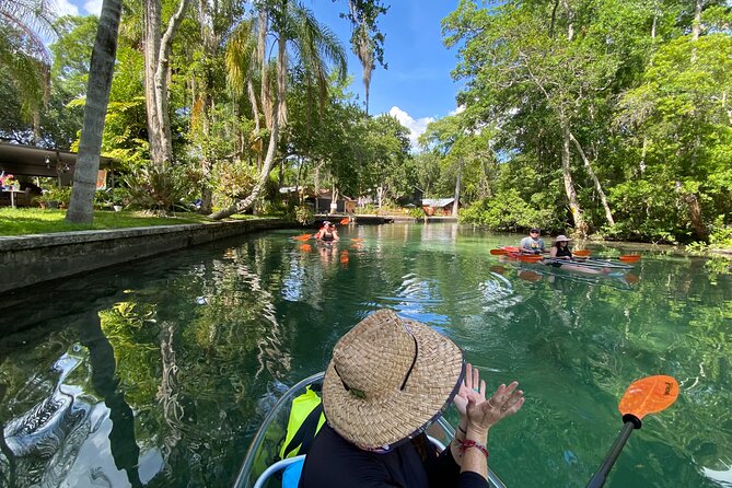 Clear Kayak Tours in Weeki Wachee - Wildlife sightings depend on the day