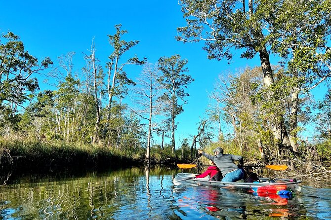 Clear Kayak Tours in Weeki Wachee - Guides add the educational layer