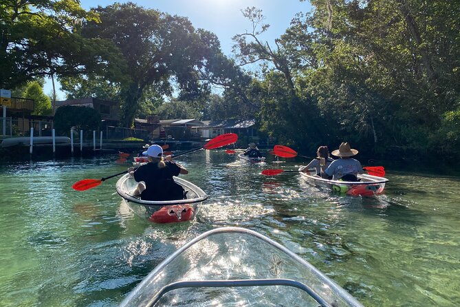 Clear Kayak Tours in Weeki Wachee - Is $79 a fair price?