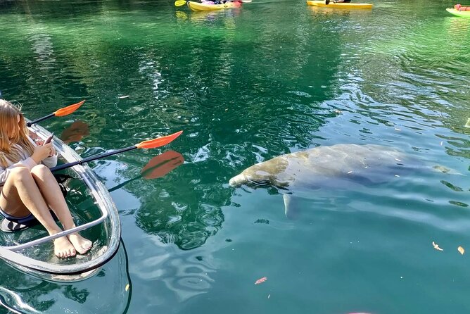 Clear Kayak Tours in Weeki Wachee - Who will enjoy this Weeki Wachee trip