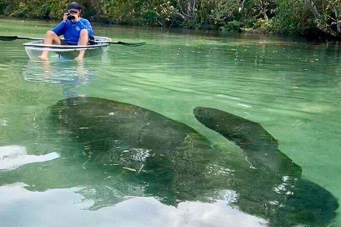 Clear Kayak Tours in Weeki Wachee - Should you book it?
