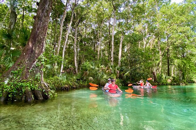 Clear Kayak Tours in Weeki Wachee - What the clear kayak actually adds