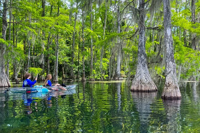 Clear Kayaking Eco Adventure Tour in Marianna - Comfort, limits, and family suitability