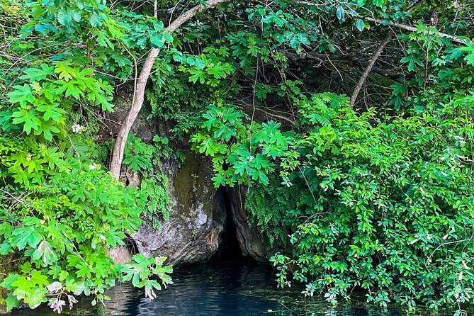 Clear Kayaking Eco Adventure Tour in Marianna - Paddling over clear spring water