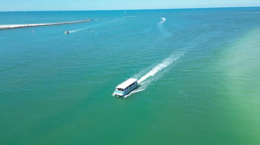 Clearwater Beach: Dolphin & Island Sandbar Cruise - A two-hour Clearwater outing with a clear purpose