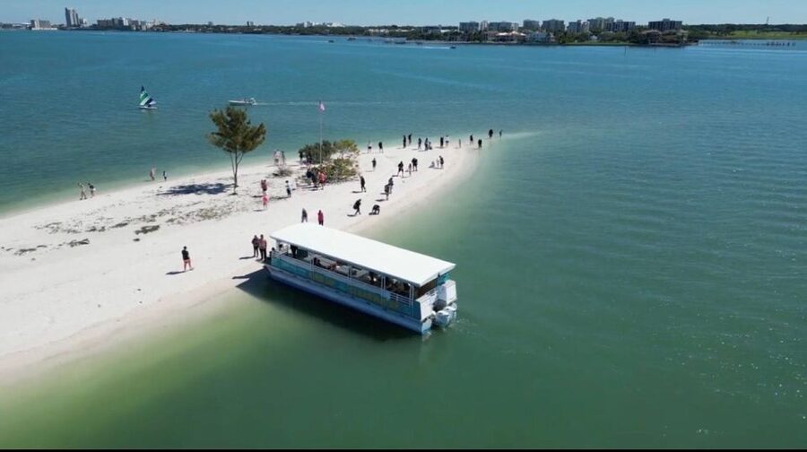 Clearwater Beach: Dolphin & Island Sandbar Cruise - The dolphin search, with a real guarantee
