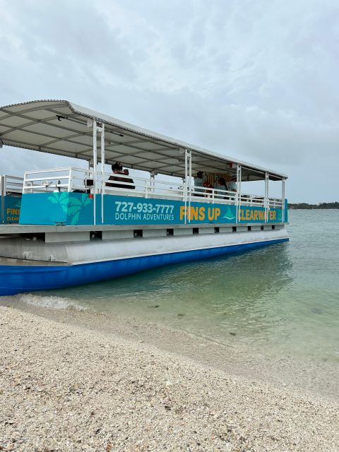 Clearwater Beach: Dolphin & Island Sandbar Cruise - Guides who keep the ride lively