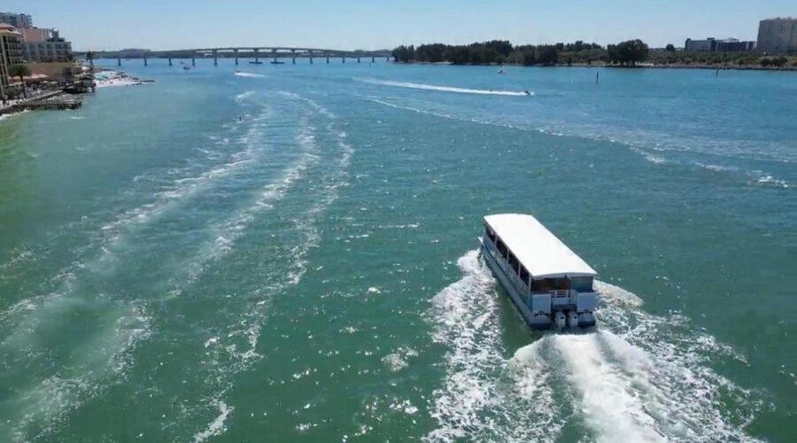 Clearwater Beach: Dolphin & Island Sandbar Cruise - How to prepare for a comfortable trip