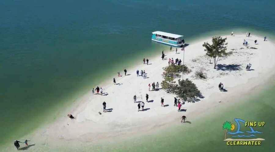 Clearwater Beach: Dolphin & Island Sandbar Cruise - The main drawbacks to consider