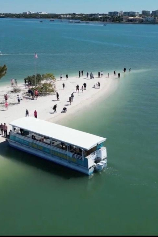 Clearwater Beach: Dolphin & Island Sandbar Cruise - Setting out from 25 Causeway Boulevard