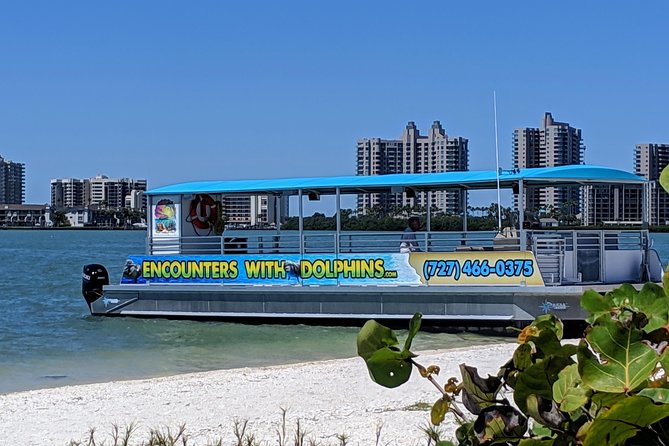 Clearwater Encounters with Dolphins Tour - A Clearwater dolphin trip with a useful second act