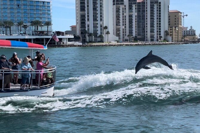Clearwater Encounters with Dolphins Tour - How much value do you get for $35.67?