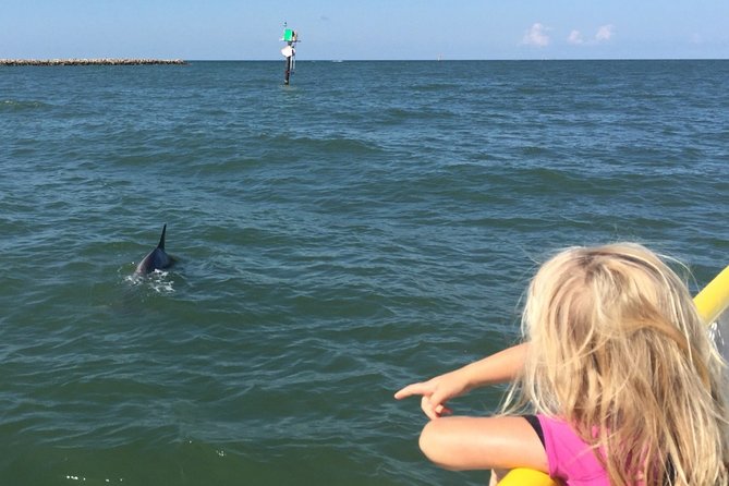 Clearwater Encounters with Dolphins Tour - Who will enjoy this trip most