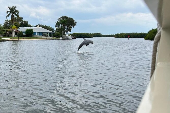 Cocoa Beach Dolphin and Wildlife Tour - Is $47.50 a fair price?