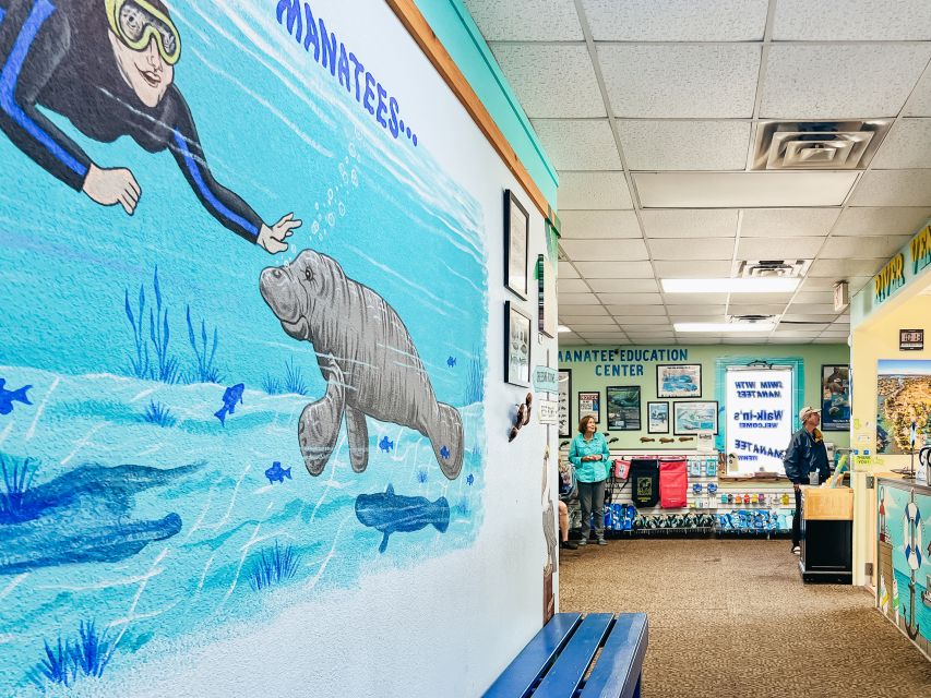 Crystal River: Manatee Snorkel Tour w/ In-Water Photographer - Key details before you book