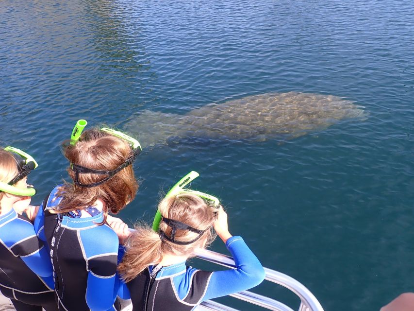 Crystal River: Manatee Swim Group Tour - When to book for clearer water and more manatees