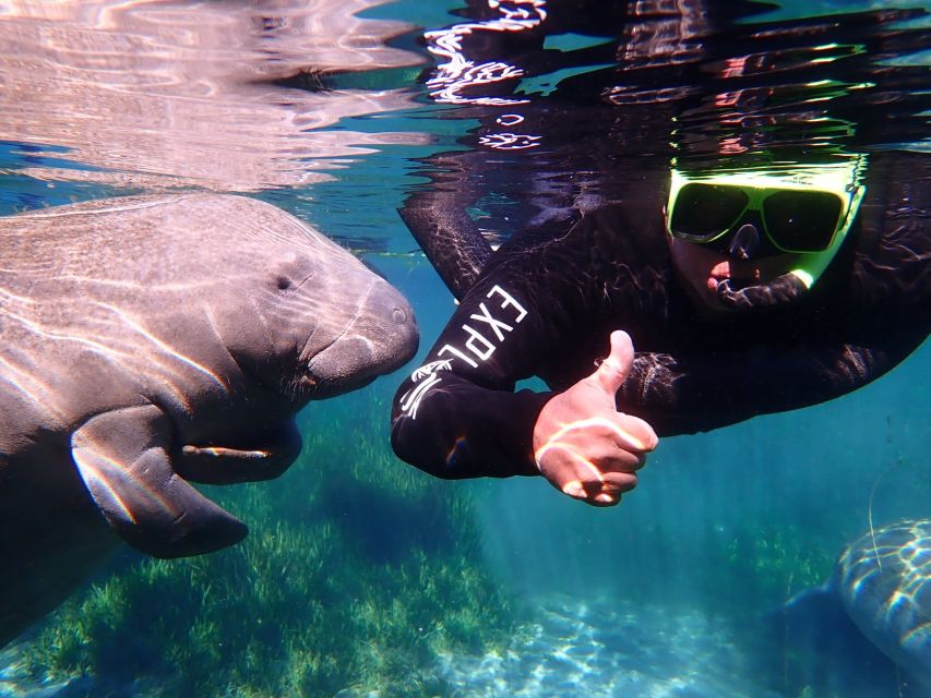 Crystal River: Manatee Swim Group Tour - Who should book this Crystal River tour?