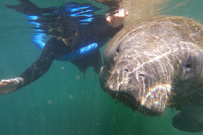 Crystal River: Semi-Private Manatee Swim Tour With Heated Boat - Starting at 403 NE 2nd Street in Crystal River
