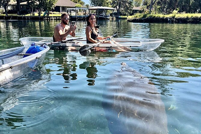 Crystal River Three Sisters Springs and Manatee Clear Kayak Tours - Paddling to Three Sisters Springs