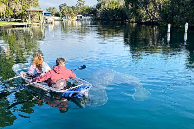 Crystal River Three Sisters Springs and Manatee Clear Kayak Tours - Launching from Kings Bay Park