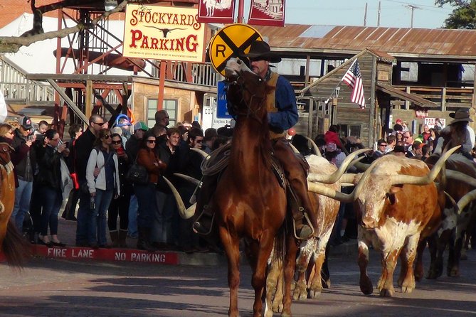 Dallas and Fort Worth City Sightseeing Tour Small-Group - A big Texas overview in one long day