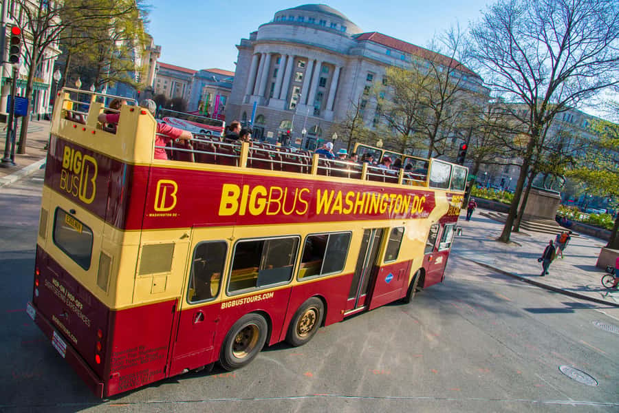 DC: Hop-on Hop-off Tour by Open-top Bus with 17 Stops - Should you book the Big Bus DC tour?