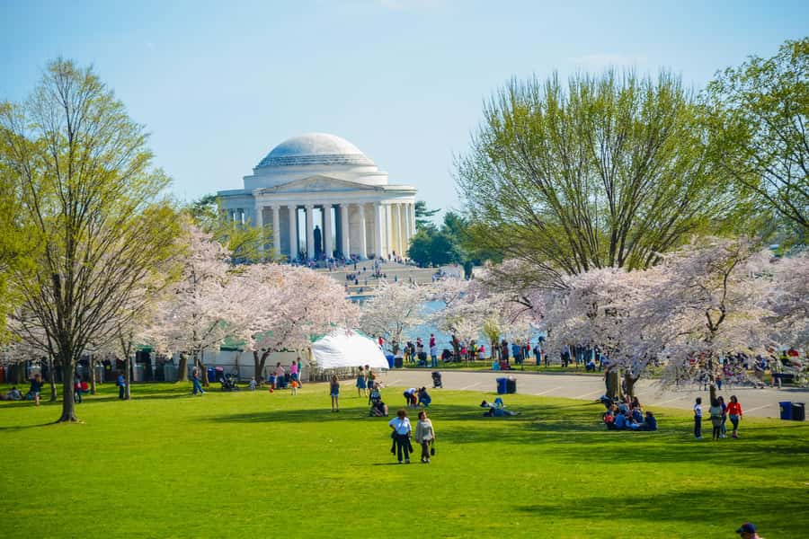 DC: Hop-on Hop-off Tour by Open-top Bus with 17 Stops - The White House, Chinatown, and Capitol Hill