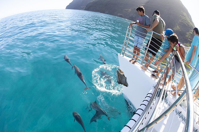 Deluxe Na Pali Morning Snorkel Tour on the Lucky Lady - Snorkeling over a tropical reef