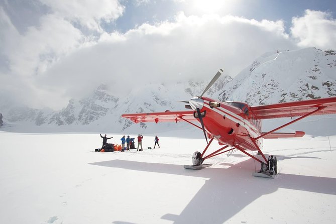 Denali Flyer Flightseeing Tour from Talkeetna - The 1.25-hour Denali flight