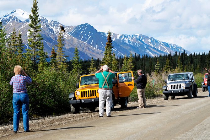 Denali Highway Jeep Excursion - Gravel roads, broad views, and the limits of off-road driving