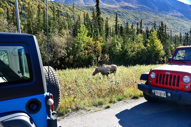 Denali Highway Jeep Excursion - Weather, photography, and the best departure time
