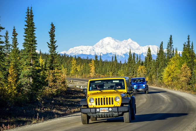 Denali Highway Jeep Excursion - Who will enjoy this outing most?