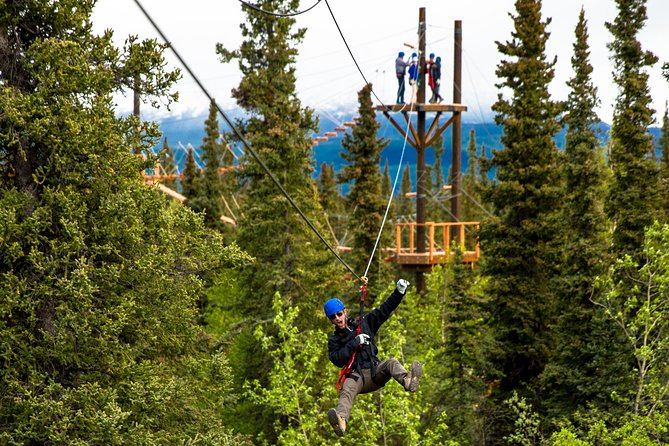 Denali Park Zipline Adventure - A three-hour Denali adventure, not just a zipline