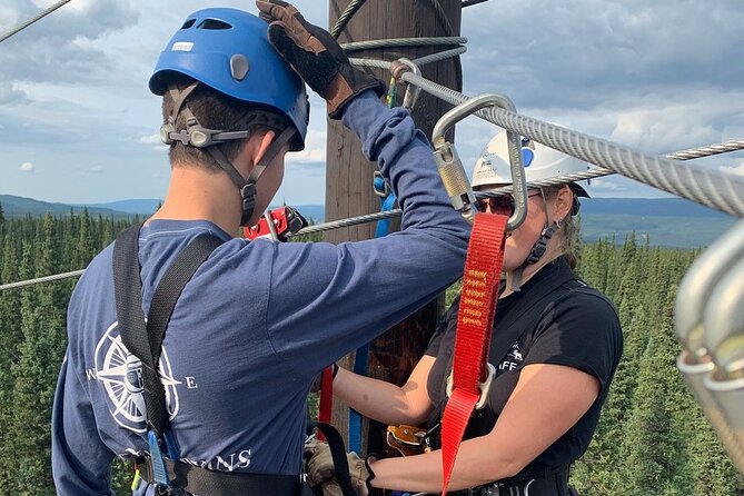 Denali Park Zipline Adventure - Seven ziplines, including a final dual racer