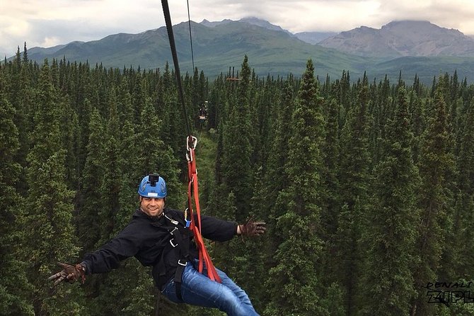 Denali Park Zipline Adventure - Who should book this Denali activity?