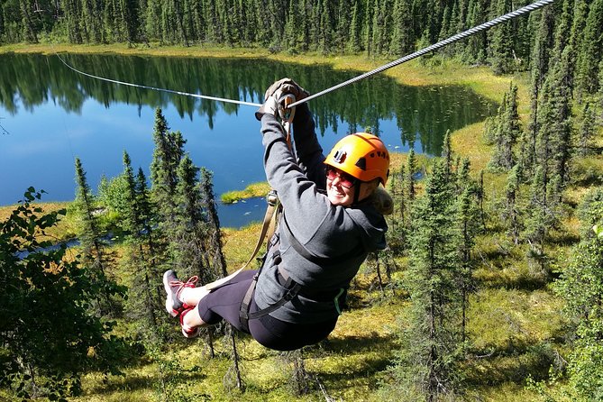 Denali Zipline Tour in Talkeetna, AK - Why this Talkeetna zipline course is worth your time