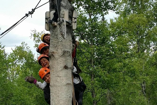 Denali Zipline Tour in Talkeetna, AK - Starting in Talkeetna with the right expectations