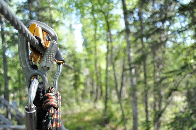 Denali Zipline Tour in Talkeetna, AK - What the three-hour schedule feels like