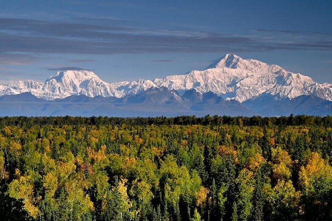 Denali Zipline Tour in Talkeetna, AK - Who will enjoy this most